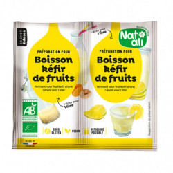 Boisson kéfir de fruits 2 x 5g