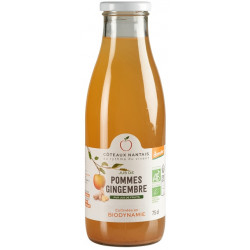 Jus de pomme gingembre 75cl