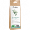 Eucalyptus feuille 50g