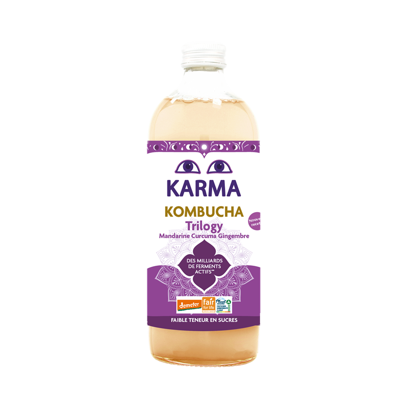 Kombucha Ginger Trilogy (mandarine, gingembre, curcuma) Demeter 1l