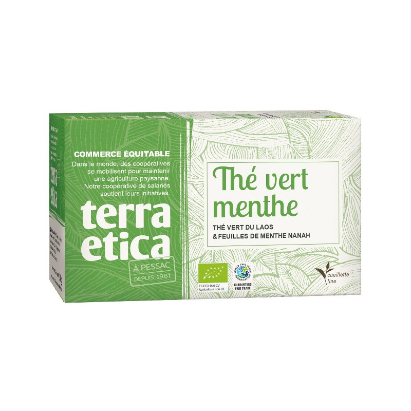 Thé vert menthe x20 infusettes 36g