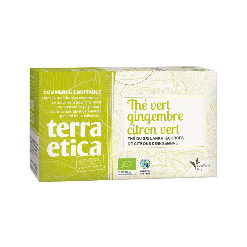 Thé vert gingembre et citron vert x20 infusettes 36g