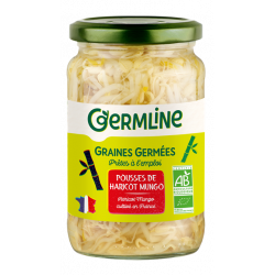 Germes de haricot mungo en...