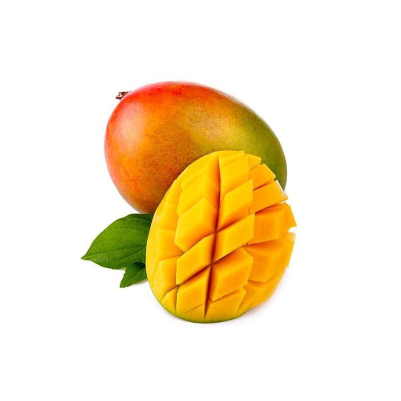 EXO MANGUE TOMMY ATKINS 300gr pièce environ TRANSPORT BATEAU