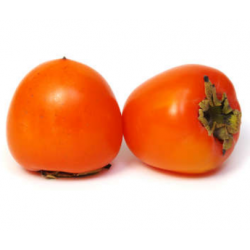 KAKI ROUGE BRILLANT cal 24