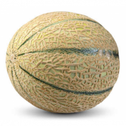MELON CHARENTAIS ENVIRON 650GR