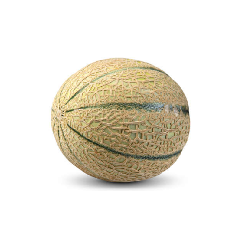 MELON CHARENTAIS ENVIRON 650GR