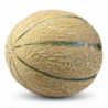 MELON CHARENTAIS ENVIRON 650GR