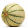 MELON CHARENTAIS cal  ENVIRON 850GR
