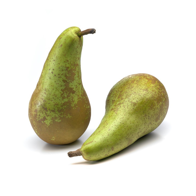 POIRE CONFERENCE cal 55/60