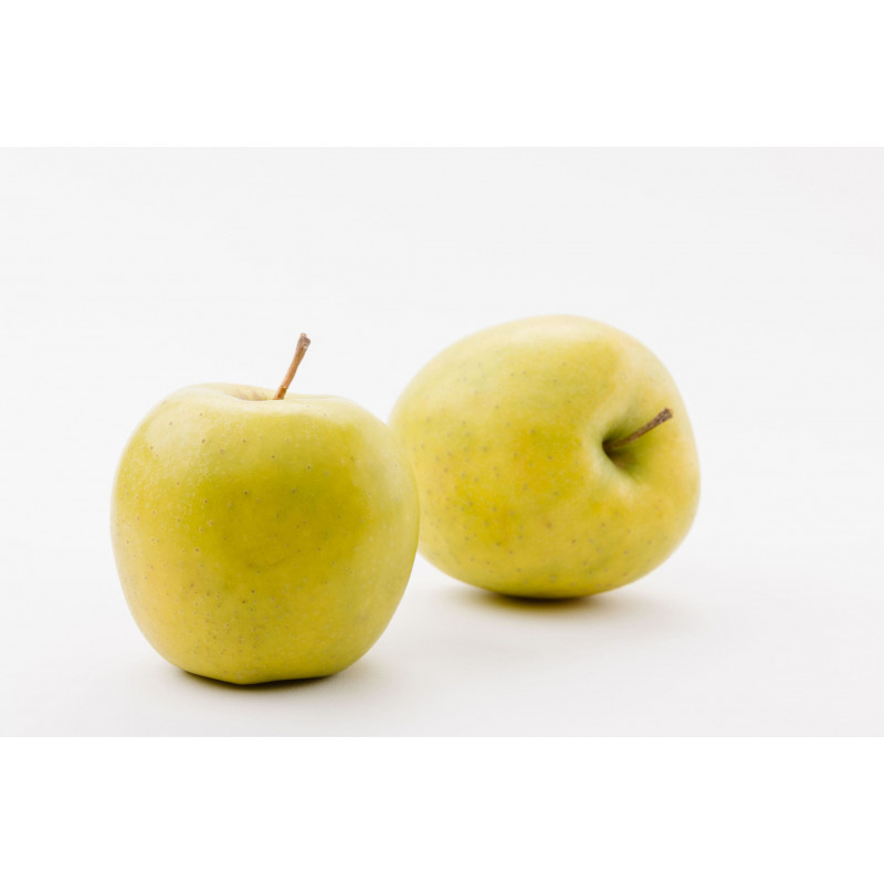 POMME BELCHARD® variété CHANTECLER CAL 95/130gr