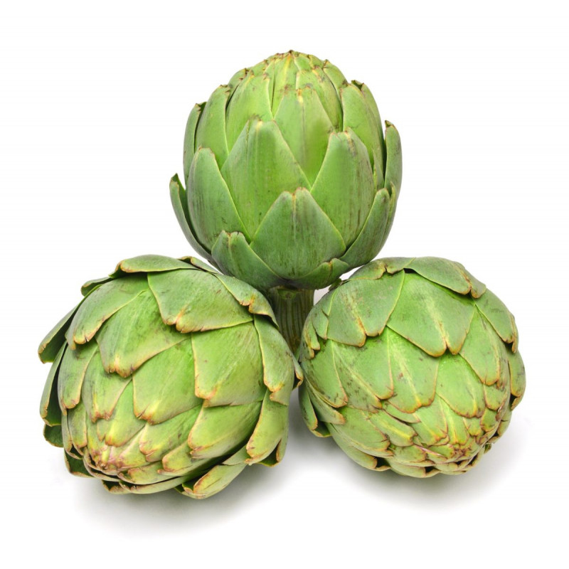 ARTICHAUT CAMUS PRINCE DE BRETAGNE®