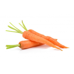 CAROTTE LAVEE 20/40...