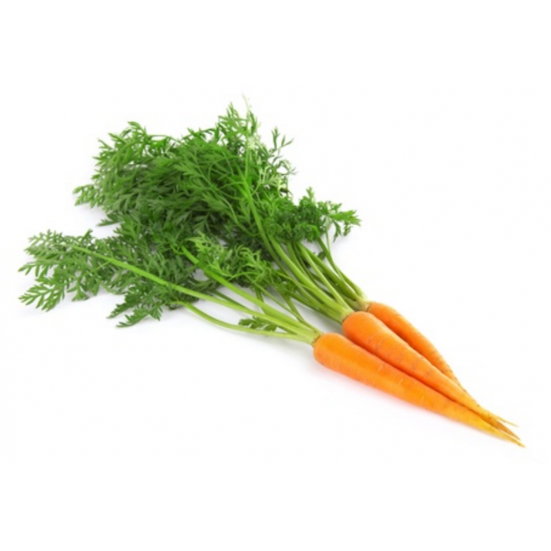 CAROTTE BOTTE 500gr LA BOTTE