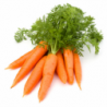 CAROTTE BOTTE 500gr La pièce environ