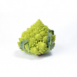 CHOU ROMANESCO BIOBREIZH