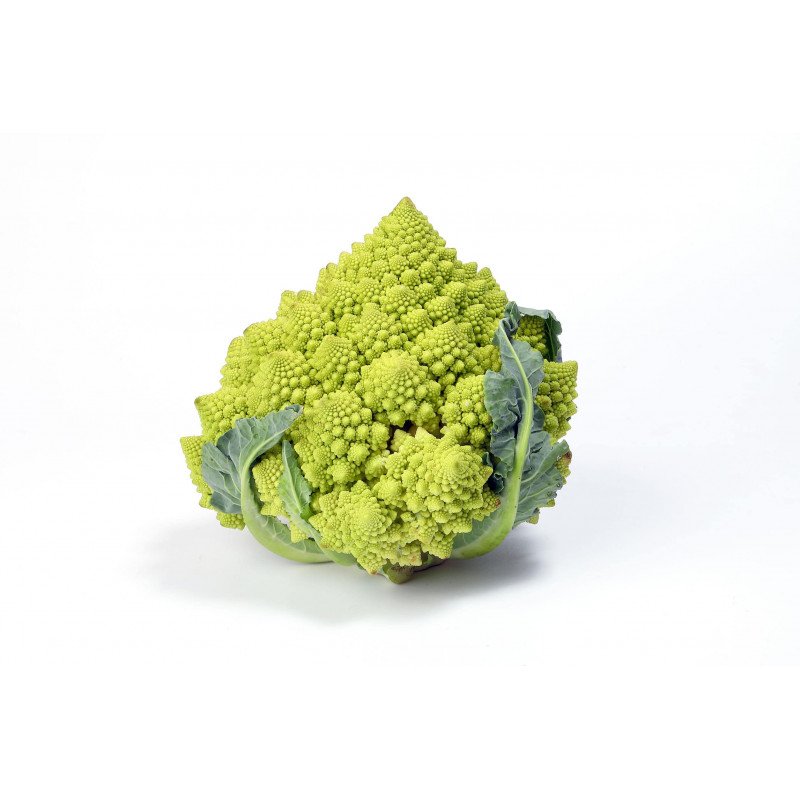 CHOU ROMANESCO BIOBREIZH