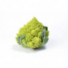 CHOU ROMANESCO BIOBREIZH