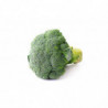 CHOU BROCOLI CALIBRE MOYEN PRINCE DE BRETAGNE®