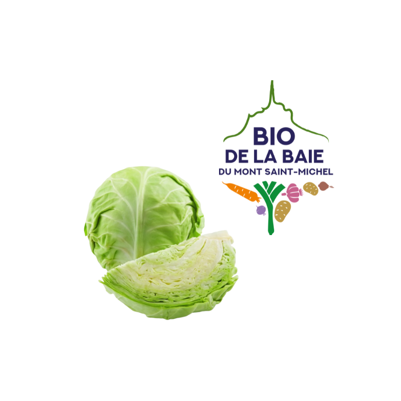 CHOU BLANC LISSE  CALIBRE MOYEN BIO DE LA BAIE DU MONT SAINT MICHEL®