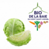 CHOU BLANC LISSE  CALIBRE MOYEN BIO DE LA BAIE DU MONT SAINT MICHEL®