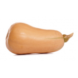 COURGE BUTTERNUT