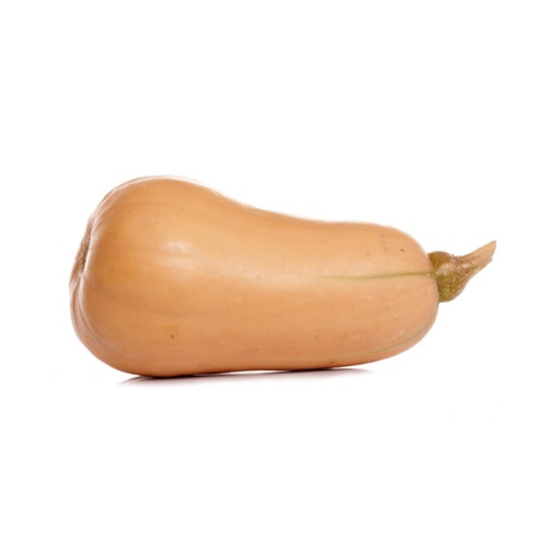 COURGE BUTTERNUT