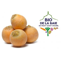 NAVET JAUNE BOULE D'OR BIO...