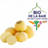NAVET JAUNE BOULE D'OR BIO DE LA BAIE DU MONT ST MICHEL®