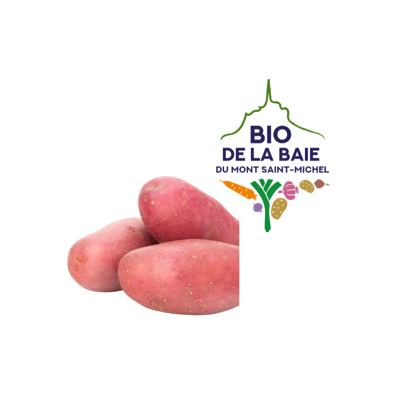 POMME DE TERRE DE CONSOMMATION ROUGE DELILA CALIBRE 35+ BIO DE LA BAIE