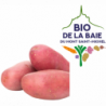 POMME DE TERRE DE CONSOMMATION ROUGE DELILA CALIBRE 35+ BIO DE LA BAIE
