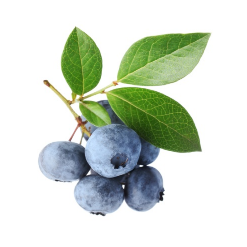 MYRTILLE BARQUETTE 125gr