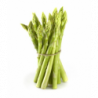 ASPERGE VERTE calibre 16/22 botte 250gr