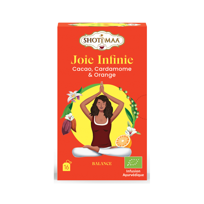 Infusion Joie infinie : cacao cardamome et orange 16 sachets