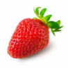 FRAISE ALLONGEE MARIGUETTE 250gr BARQUETTES  SERRES NON CHAUFFEES