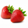 FRAISE RONDE barquette ouverte 500g x10 variété clery