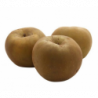 POMME REINETTE GRISE DU CANADA CAL 170+