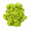 CHOU ROMANESCO CALIBRE MOYEN