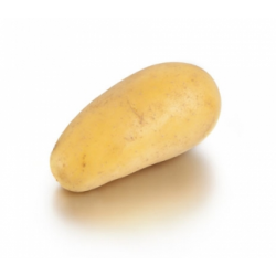 POMME DE TERRE DE...
