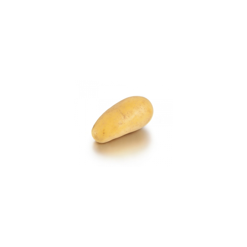 POMME DE TERRE DE CONSOMMATION ALLIANS  CHAIR FERME