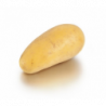 POMME DE TERRE DE CONSOMMATION ALLIANS  CHAIR FERME
