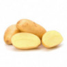POMME DE TERRE DE CONSOMMATION ALLIANS  CHAIR FERME