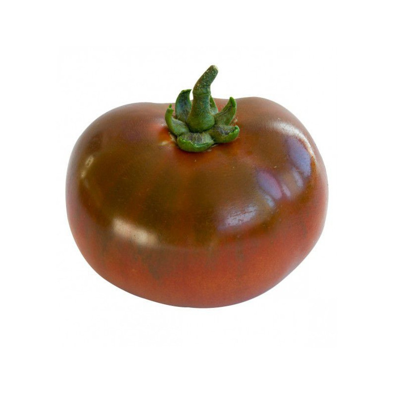 TOMATE COTELEE NOIRE DE CRIMEE POPULATION SERRES NON CHAUFEES