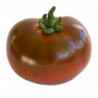 TOMATE COTELEE NOIRE DE CRIMEE POPULATION SERRES NON CHAUFEES