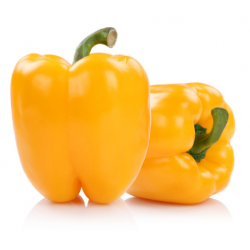 POIVRON JAUNE DEMI LONG...