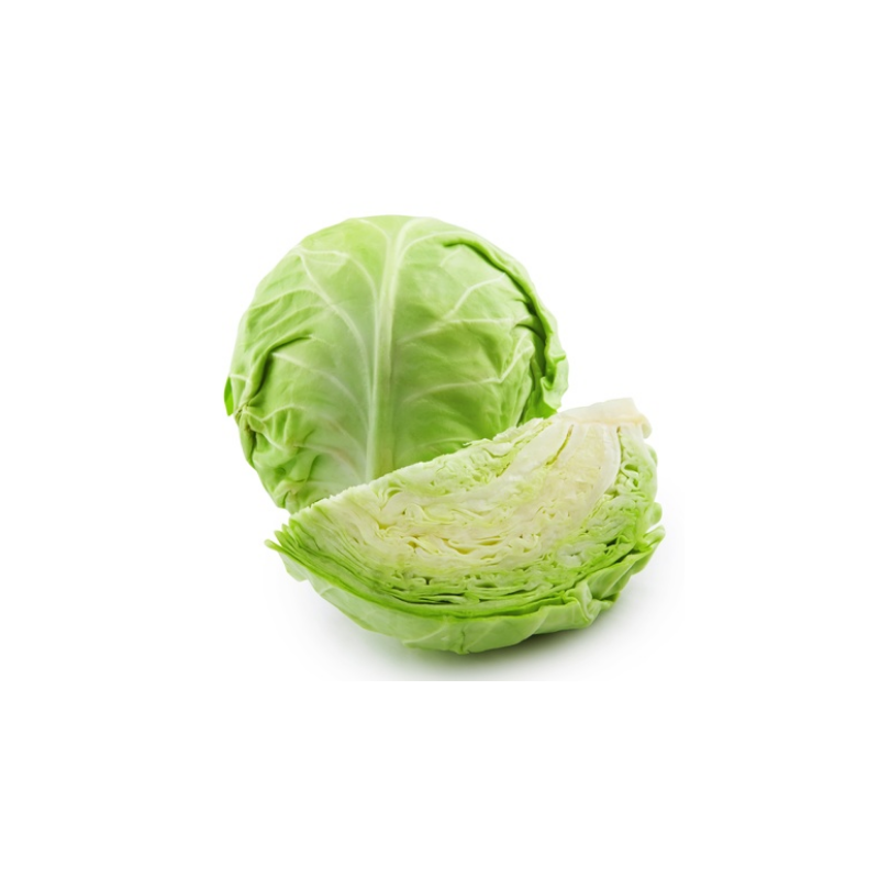 CHOU BLANC NOUVEAU LISSE CALIBRE MOYEN