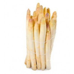 ASPERGE BLANCHE botte 500gr...