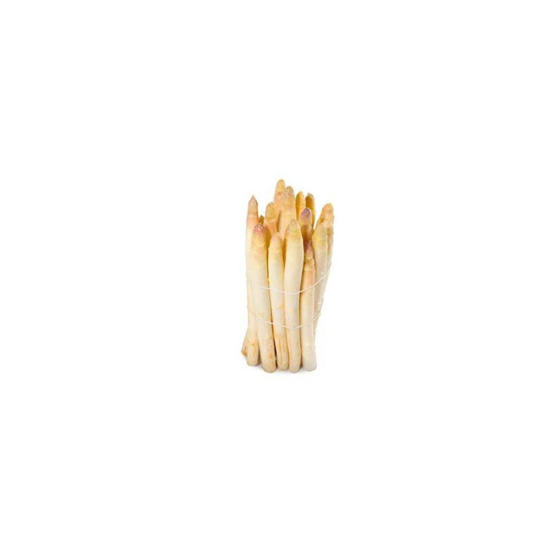 ASPERGE BLANCHE botte 500gr cal 16/22