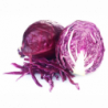 CHOU ROUGE CALIBRE MOYEN BIOBREIZH®
