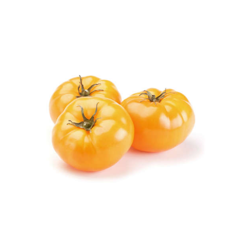 TOMATE COTELEE ANANAS POPULATION SERRES NON CHAUFEES